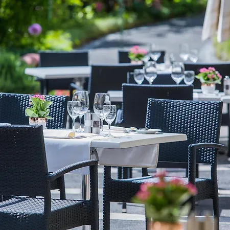 Aparthotel Tertianum Residenza Hotel&ristorante Al Parco Muralto